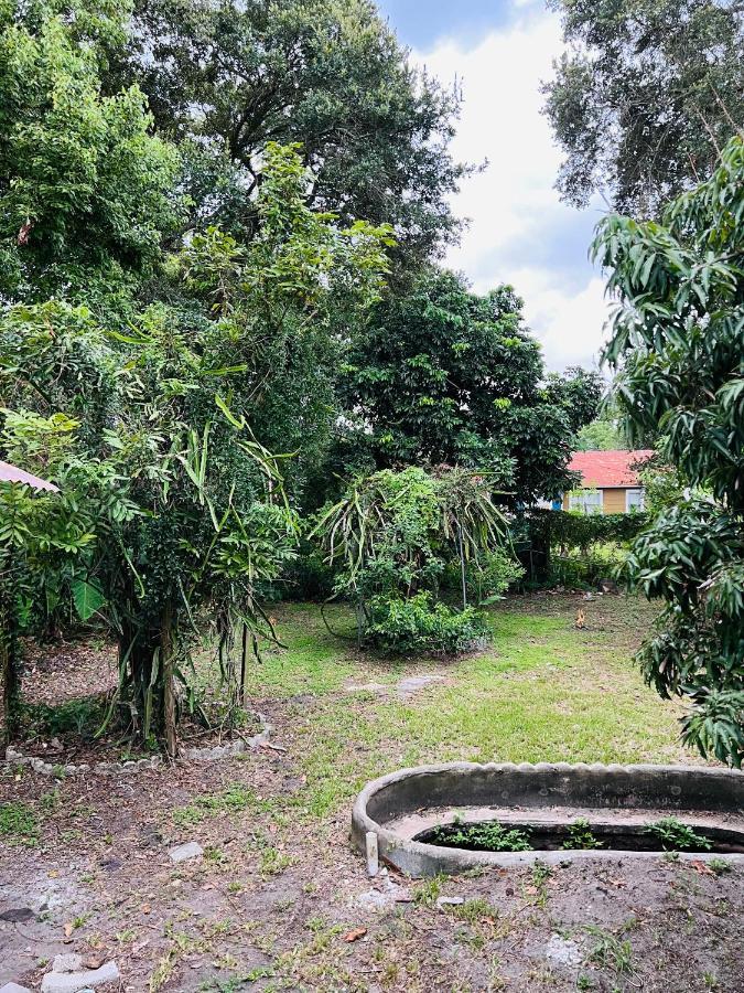 3Bdrm Fruit Tree Home Near Downtown Orlando Exterior foto